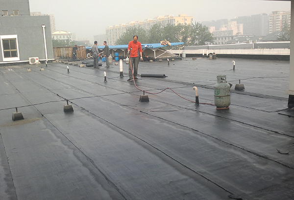 2356_20141124091136_vavbb.jpg 2356_20141124091136_vavbb.jpg